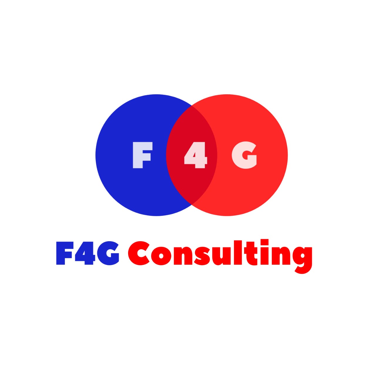 F4G CONSULTING